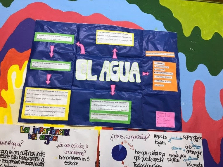 7° grado- La importancia del agua