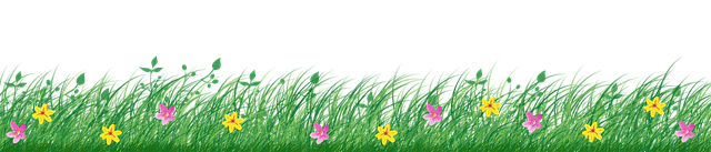 Grass.png