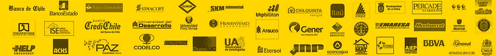 logo web david.jpg