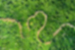 Benarrivati Africa Luxury Travel Experts Best Safari Tour Operator - Rwanda - Landscape