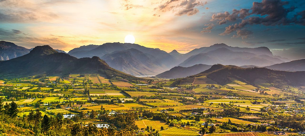 BENARRIVATI AFRICA LUXURY TRAVEL EXPERTS BEST SAFARI TOUR OPERATOR – SOUTH AFRICA & MOZAMBIQUE EXPEDITION 2026 - WINELANDS