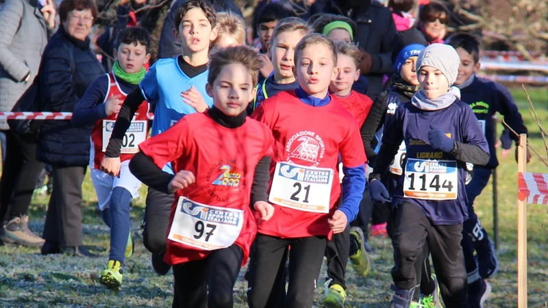 L'Attività motoria per i bambini delle scuole elementari mira a sviluppare tutte le capacità motorie del bambino attraverso il gioco