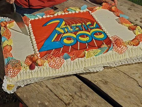 PISTA ATLETICA LEGGERA E SERVIZI CORRELATI – ANALISI DEI BANDI ACQUISITI