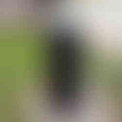 Electric vehicle charger in Leavenheath Village Hall car park