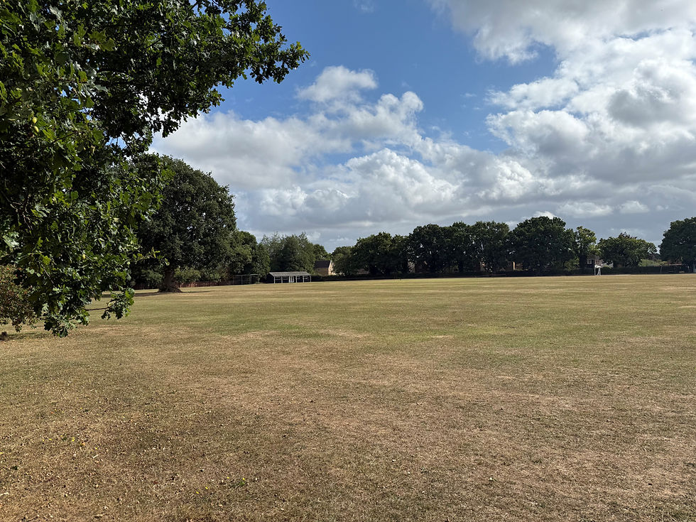 Leavenheath village Green