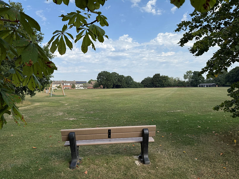 LH Green bench 1.jpg