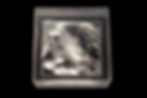 Topographic Memory 1