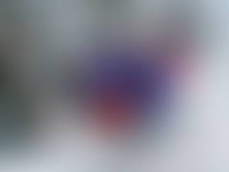 TEAM LAVALLEE ANNOUNCES 2025/2026 SNOCROSS LINEUP