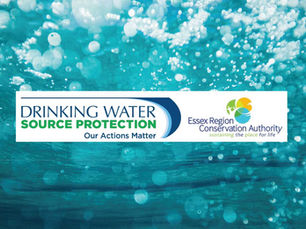 Invitation for Expressions of Interest