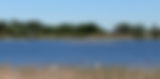 Collavino Web Header.jpg