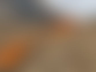 Prescribed Burn Conducted at Tremblay Beach Conservation Area