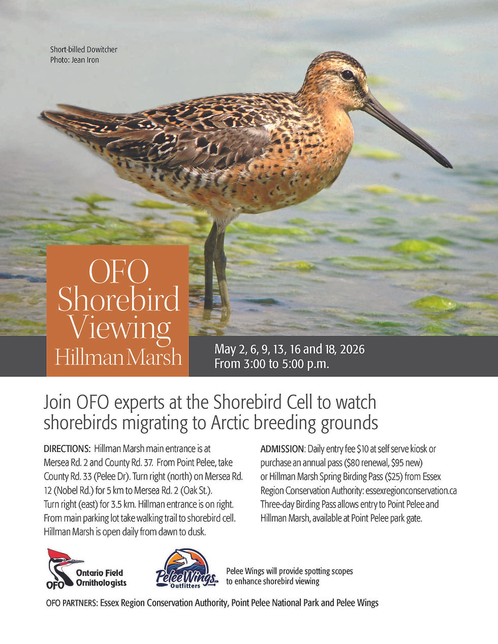 Shorebirds 8.5 x 11- 2026.jpg