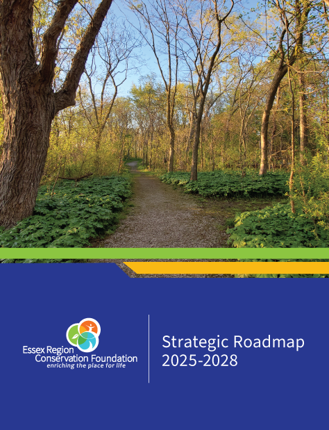 ERCF-Strategic-Roadmap-2025-2028-Cover-Image.png