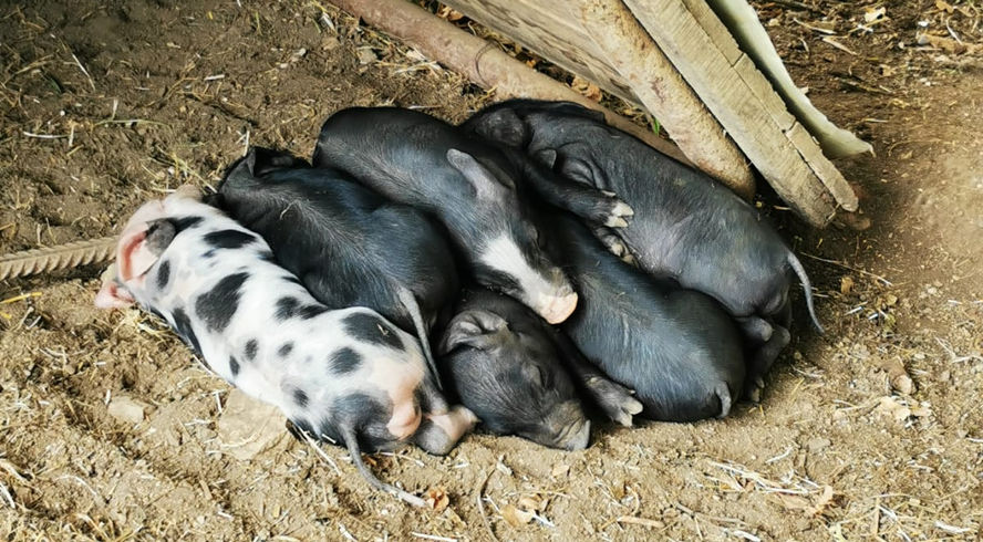 WhatsApp Image 2022-10-28 at 12.43.39 (1).jpeg