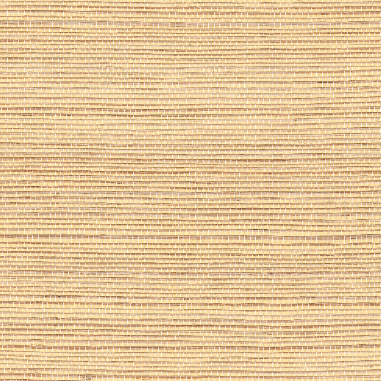 Maestria, Tribus RM_1073 - Sisal (métallique)