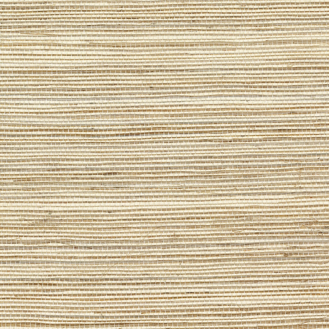 Maestria, Tribus RM_1070 - Favoris