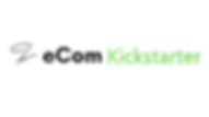 Copy of eCom (4).png