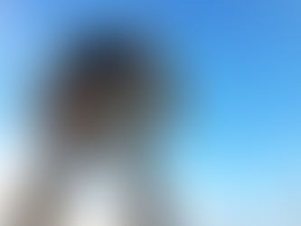 Odaiba Report for Gundam Fan