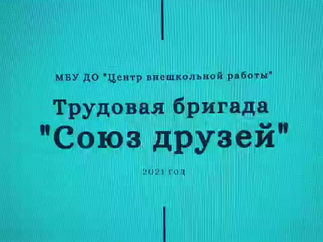 Трудовая бригада школьников «Союз друзей».