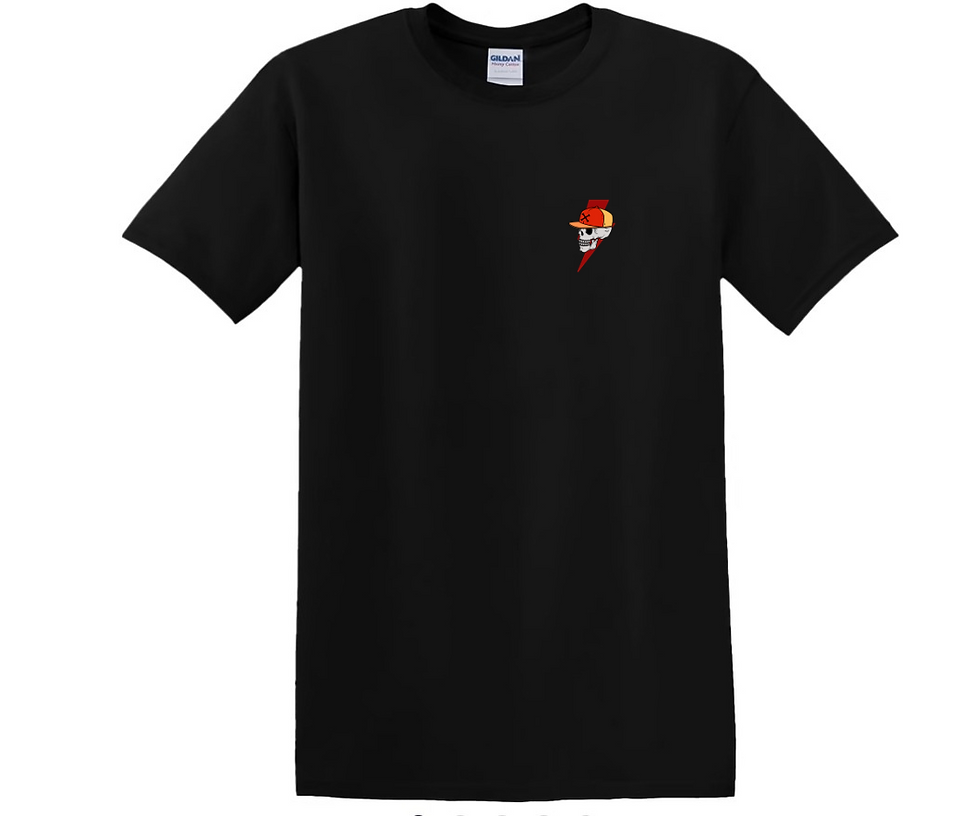 Miniature : T-shirt homme Avignon skate spirit