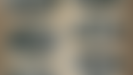 Decoraciones en los broches tortuga