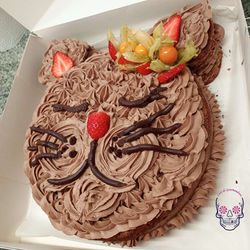 Lumii_20240227_114943060