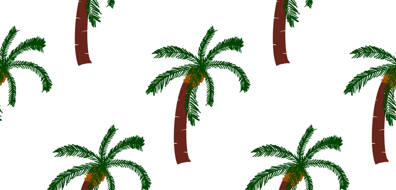 Brown trunk and dark green palm tree leaves
