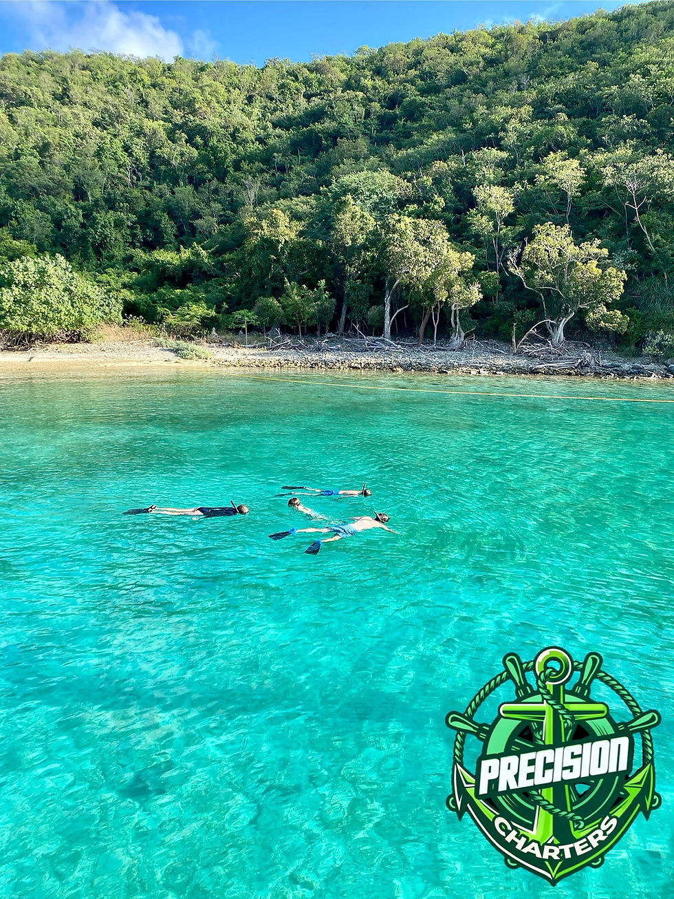 Snorkelers floating in clear turquoise water near a lush green BVI shoreline with the Precision Charters logo