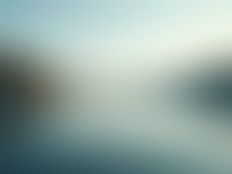 The Power of Mindfulness in Everyday Life