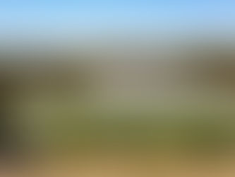 Newsletter, Term 4, Week 8, Friday 28th November 2025