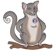 Persistent-possum2.png