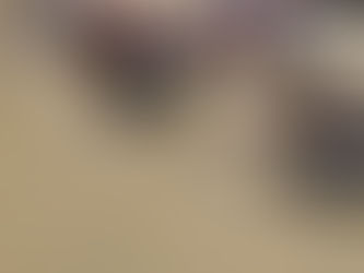 Camp Photoshoot - St Roch's Glen Iris