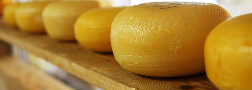 cheese-2785_1280.jpg