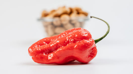 Personal Website-073.jpg