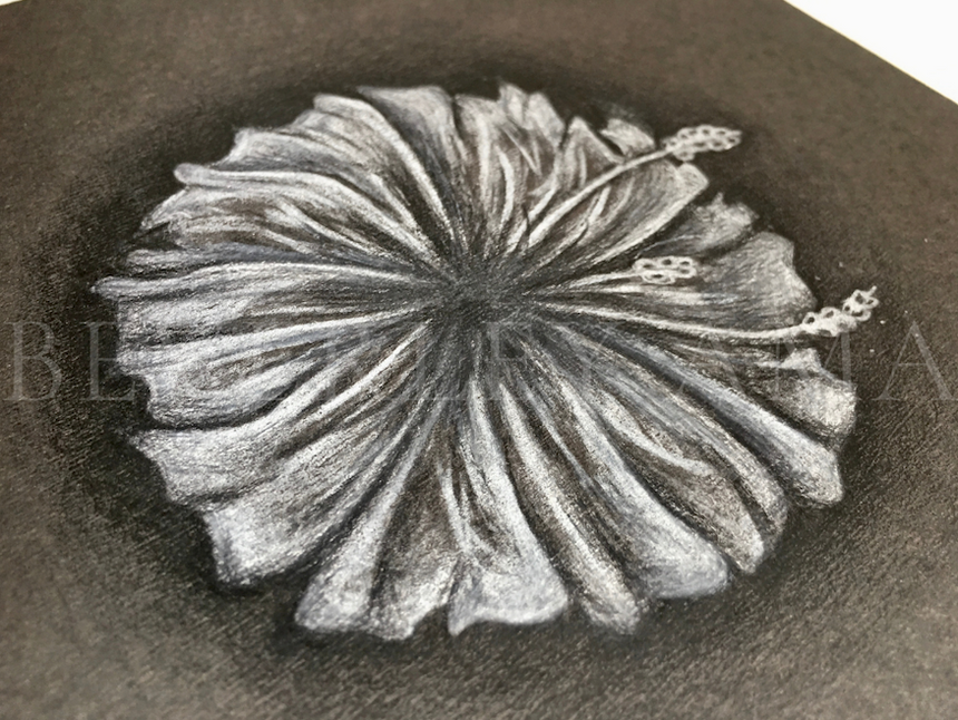 blackpaperwhiteflower.jpeg