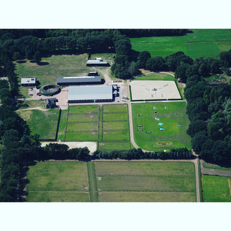 Showjumping stable, Weert, The Netherlands, GDS Training, Golden Dream Stables, Vincent Voorn
