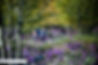 DSCF3707.jpeg