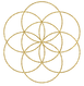 FtS-seed-of-life.png