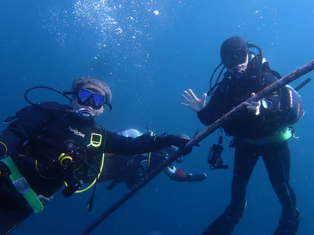 本日2025年潜り納め　城ヶ島