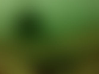 本日の海　城ヶ島