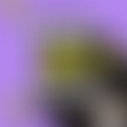 마포마사지구인구직 더퀸-8테라피닷컴