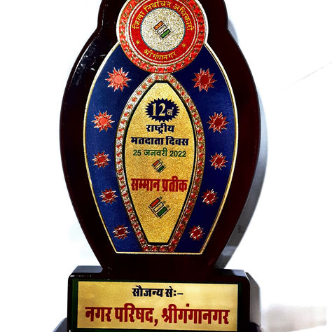 12वा राष्ट्रीय मतदाता दिवस