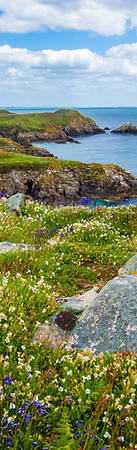Grass and Sea