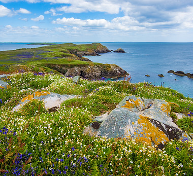 Coastal Cliff View