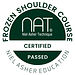 NAT logo