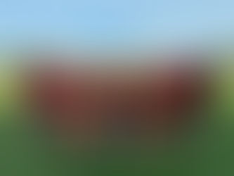 Videón a Honvéd elleni bravúros diadalunk