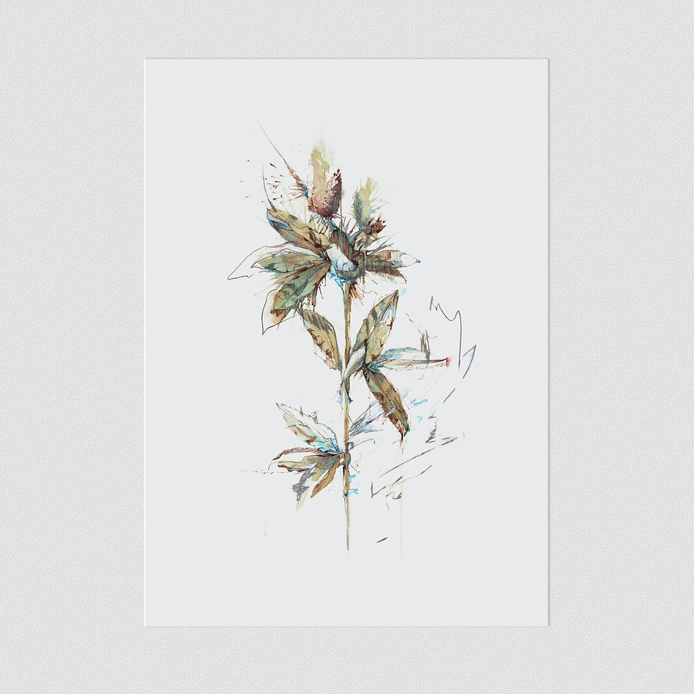 Thumbnail: The Violence of Flowers Postcard Set (8 Cards)