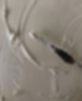 D2FFC3EA-33E0-4144-AA79-8C6EE444B740.jpeg