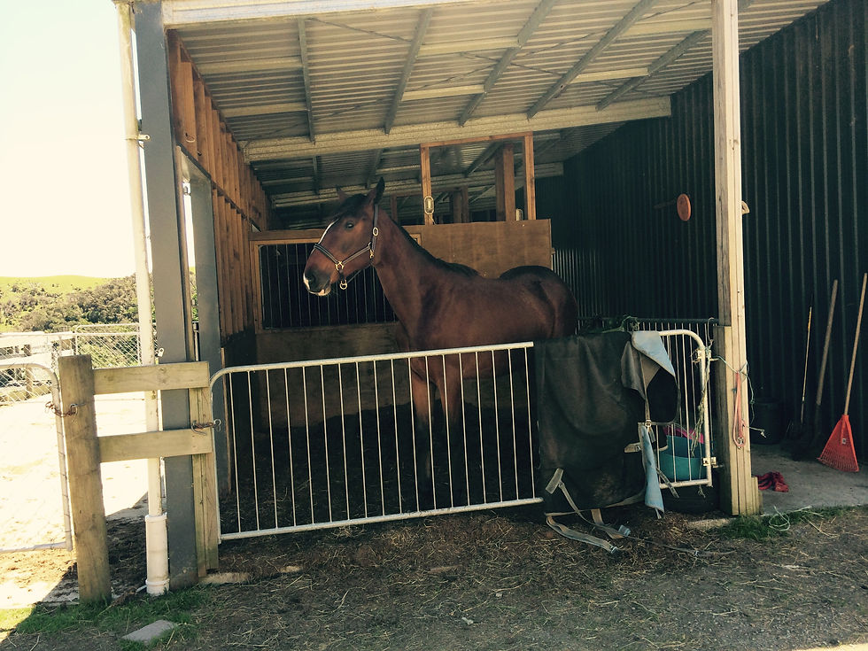 Loving his stable time!