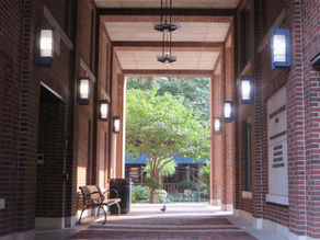 Ten affordable dorm essentials for Barnard first-years